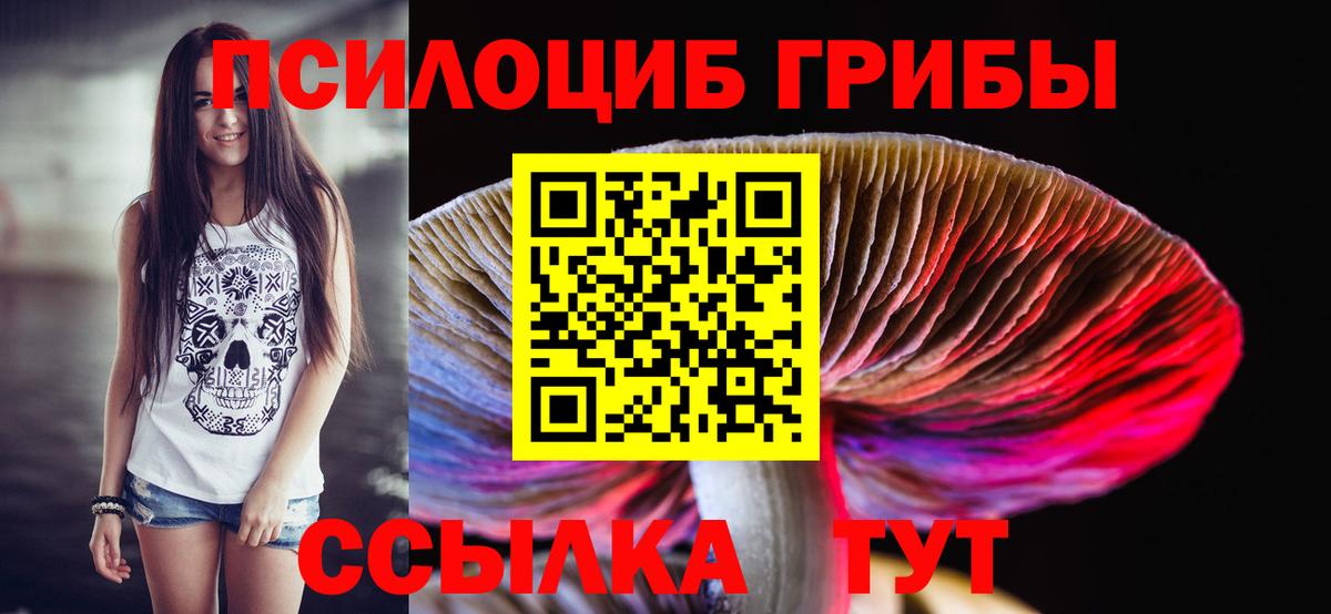 Псилоцибиновые грибы GOLDEN TEACHER Валуйки